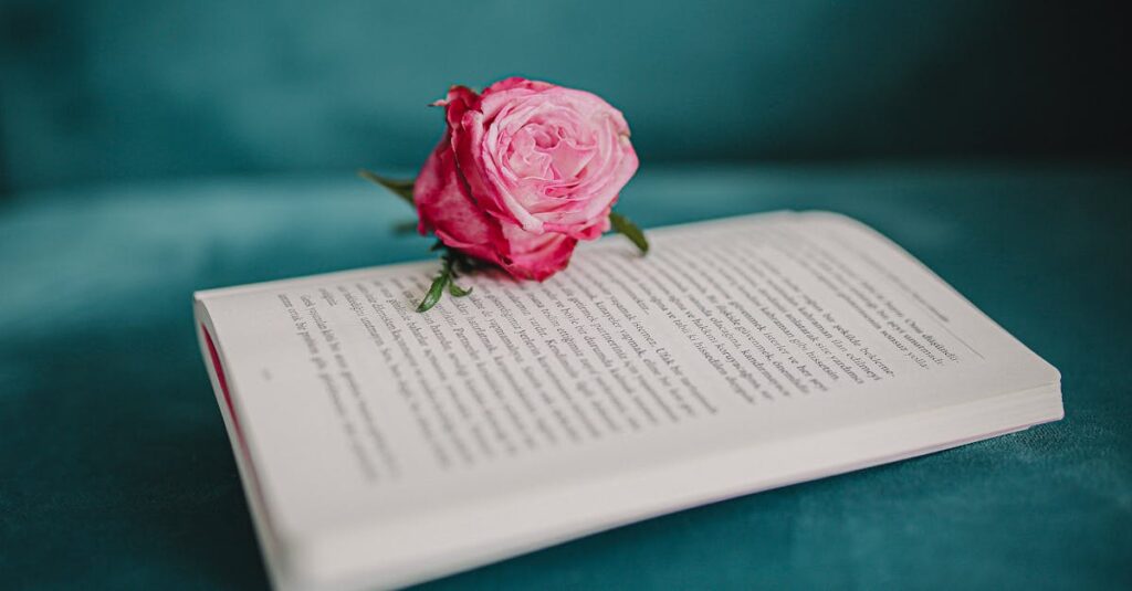 小説と映画を読み比べながら異なるご縁の描かれ方を体感する人が静かに読書し、映画を思い出している様子