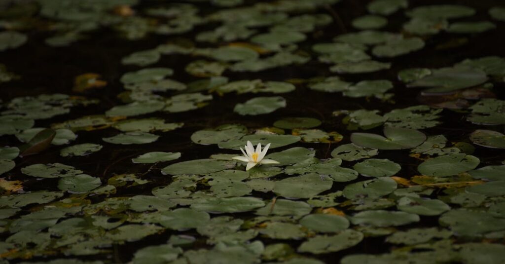 孤独を抱えながら芸を生きる喜久雄の姿。『国宝』第3巻に描かれる覚悟と静かな決意。