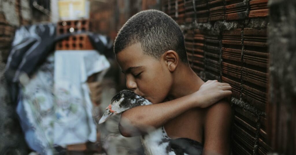 短編アニメ『夢中さ、きみに』の余韻や記憶への残り方を象徴するビジュアル。静けさが心を満たすイメージ。