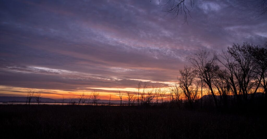 『夢中さ、きみに。』の世界観を象徴する静かな高校生活のワンシーン。言葉の少ない関係性が生まれる空気感を描いたビジュアル。