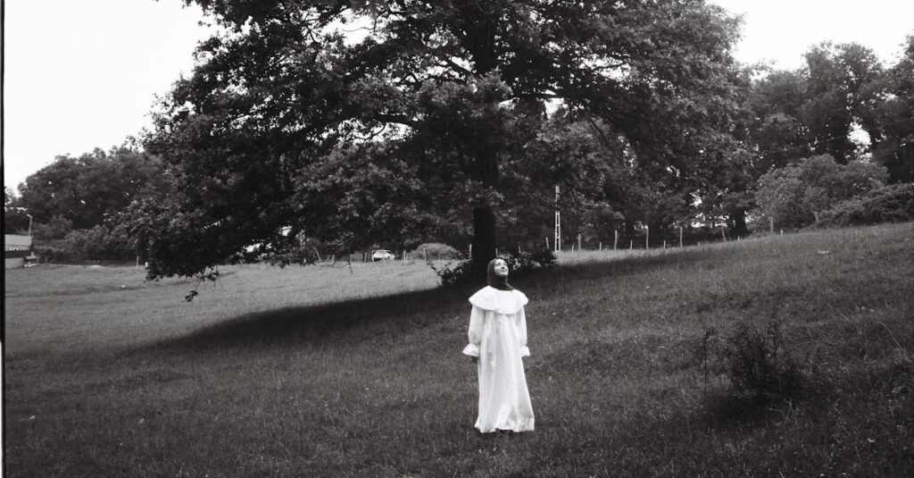 漫画『国宝』の静かな表現。伝統芸能と現代漫画の融合で、空白の中に感情が溶け込む。