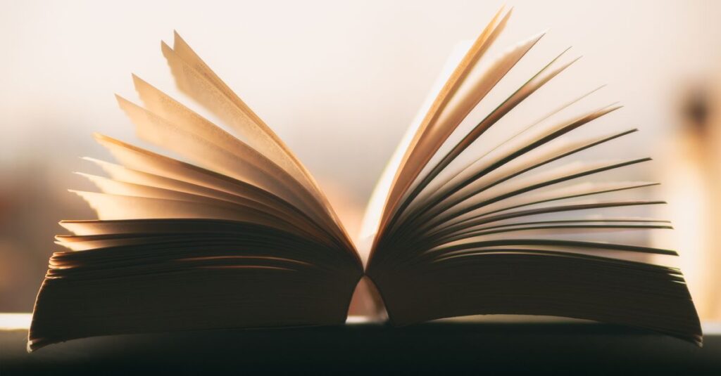 小説を読みながら、静かに考え込む時間。言葉が心の奥まで届いてくる。