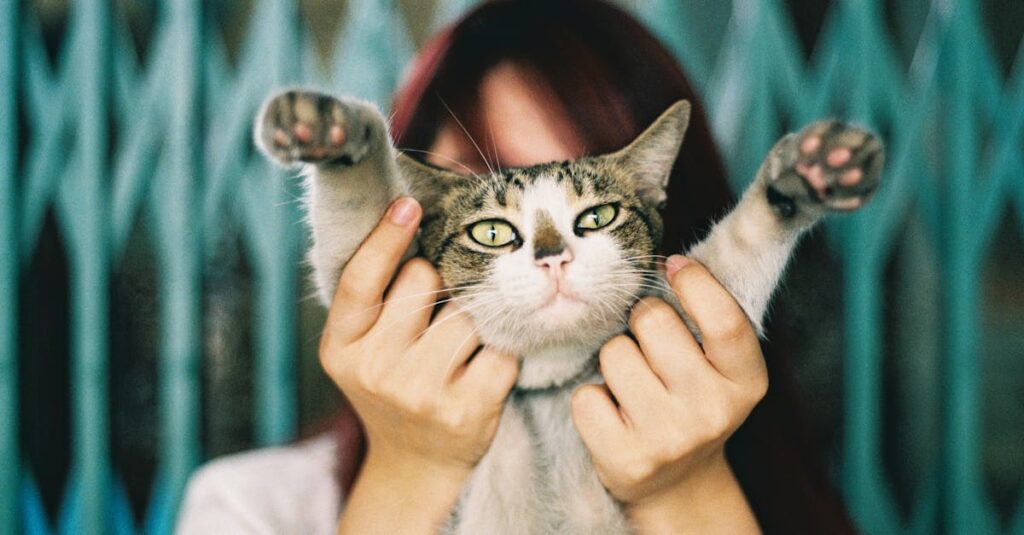 目を合わせない林と仮釈放の視線の演出。言葉よりも目や態度で語られる心の揺れを表現した場面。