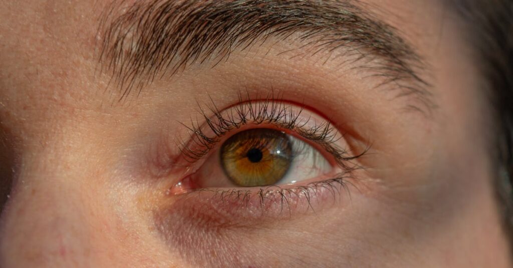 『国宝』漫画の舞台背景の再現力。時代の空気と人物の所作まで緻密に描かれている。