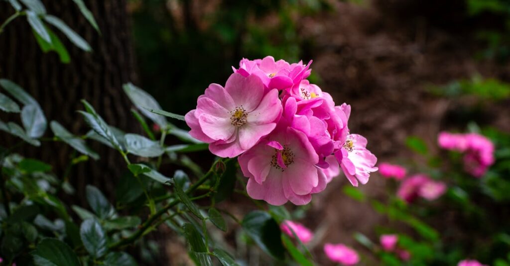 漫画『国宝』1巻の表紙。若き喜久雄が任侠の家に生まれ、歌舞伎の世界に踏み出す第一歩を象徴するビジュアル。