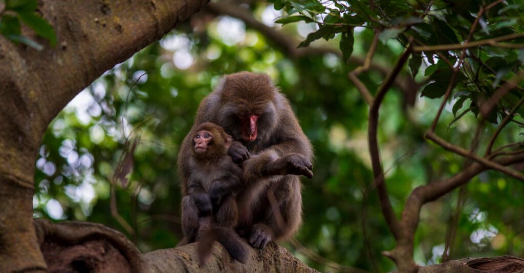 漫画『国宝』3巻の表紙。襲名披露や芸の世界の重みが伝わる歌舞伎の舞台裏のイメージ。