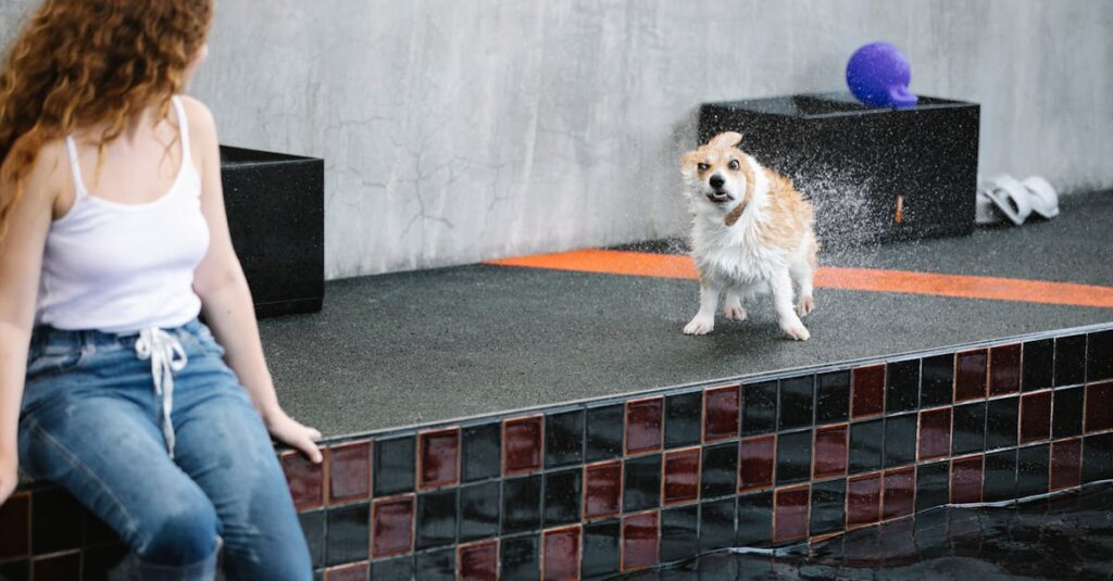 『ずたぼろ令嬢』実写ドラマ化・舞台化の可能性。ファンの期待と感情の表現力。