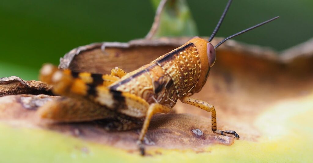 『夢中さ、きみに。』の中で描かれる微妙な距離感の人間関係。友達未満の静かなつながりを象徴するビジュアル。