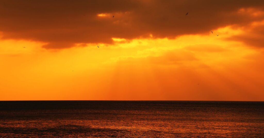 物語の余韻に静かに浸る