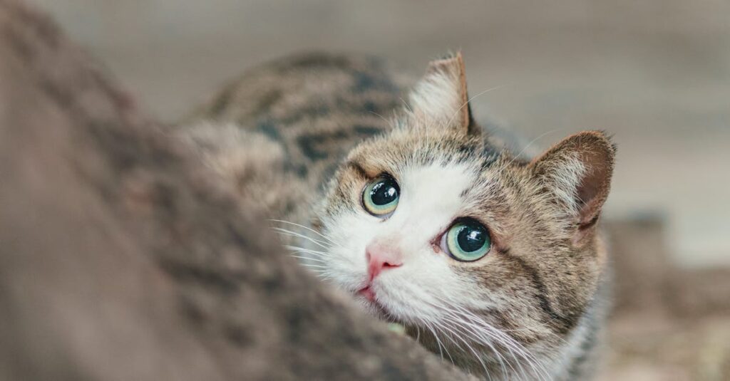 『夢中さ、きみに』の短編構成が持つ美学と意図を象徴するビジュアル。必要なだけ描く構成の魅力を表現。