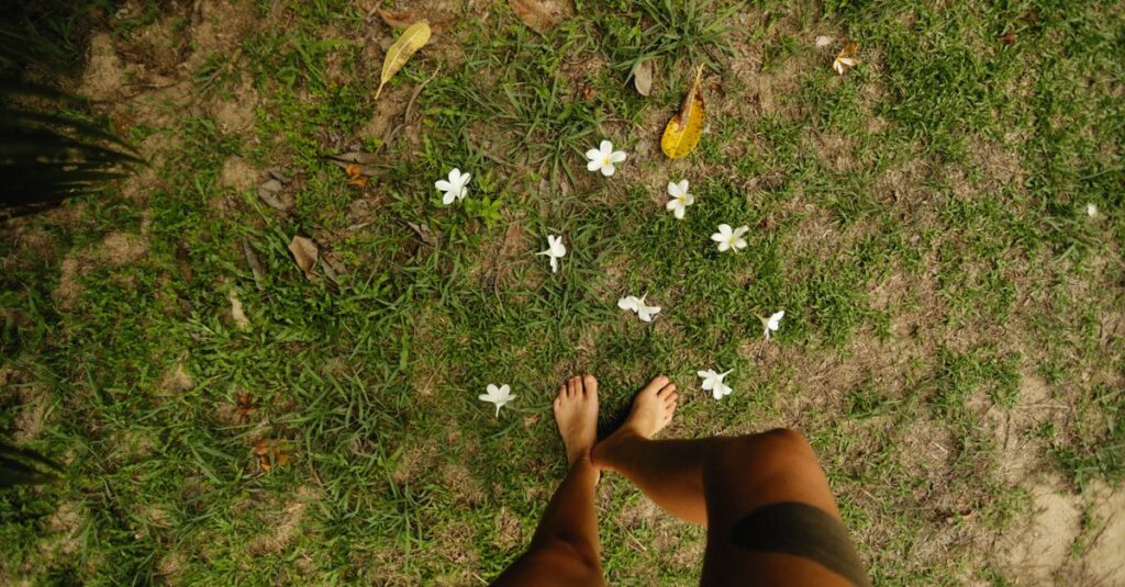 異世界の草原を自由に歩く人のイメージ