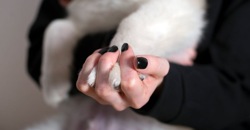 友人との関係性の中で少しずつ自己肯定感を取り戻していく女子高生の姿が描かれたシーン。