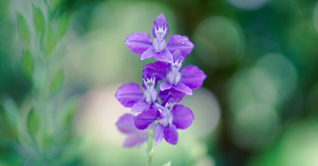 自分の見た目に自信が持てず悩む女子高生のリアルな心情を描いたシーン。