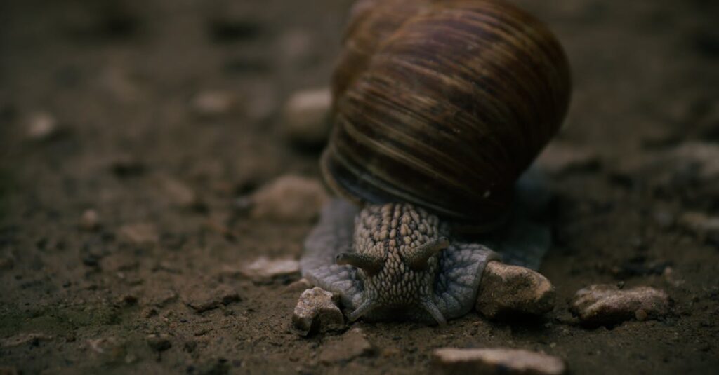 すぐに名前をつけないまま、少しずつ育っていくご縁のやわらかな気配