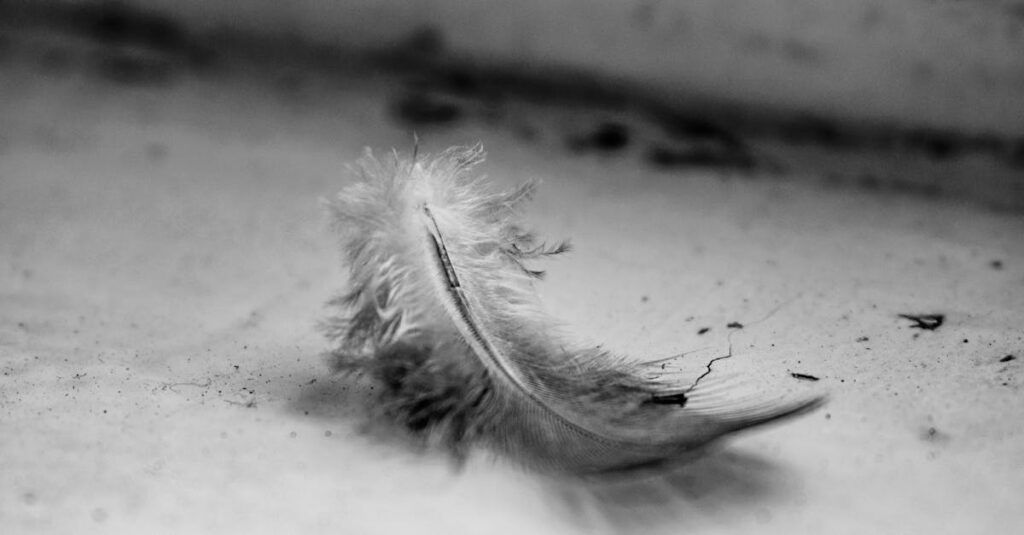 完璧じゃなくてもいい。傷だらけのままでいい。そう静かに語りかけてくれるような柔らかな光。