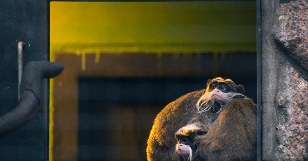 異世界の食卓で人々が笑顔で食事を囲む場面。料理を通じて生まれるご縁の大切さを描写。