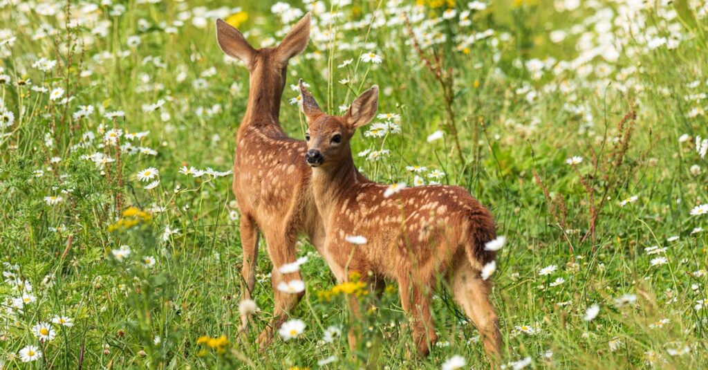 ゆっくりと変わっていく主人公の姿が、自分自身にも優しくなれるきっかけをくれるアニメのワンシーン。