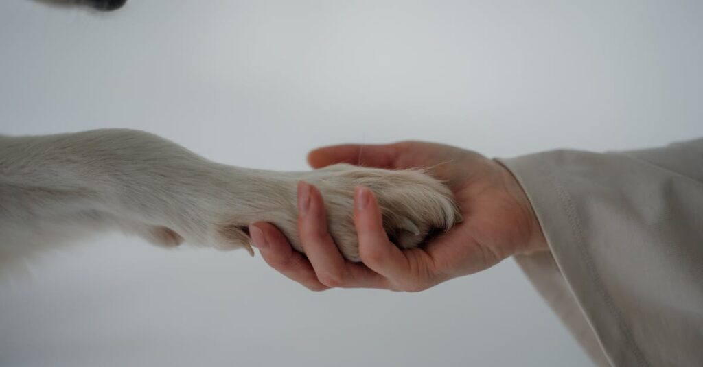 自然な距離感で築かれるアニメキャラクターたちの友情シーン、教室で穏やかに交わす視線や笑顔