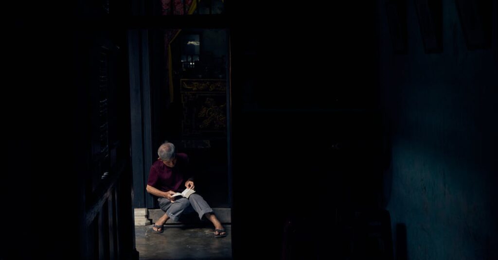 裏庭のドアを通じて異世界へ繋がる静かなファンタジー作品の世界観を表現したイメージ