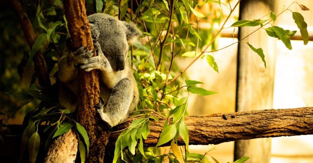 4つの性格タイプを花の咲き方で表現したアニメ風の診断スタート画面。