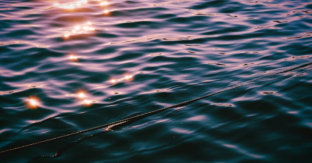 静かな水面のように、感情の余韻がゆっくり広がっていく読書時間