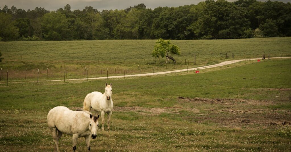 強く励まさない言葉ほど、疲れた心には深くしみることがある