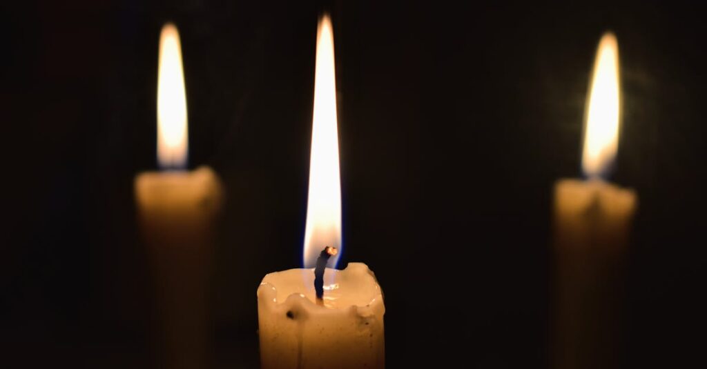 何も言えない夜でも、そばにいる存在によって少し息がしやすくなるような場面