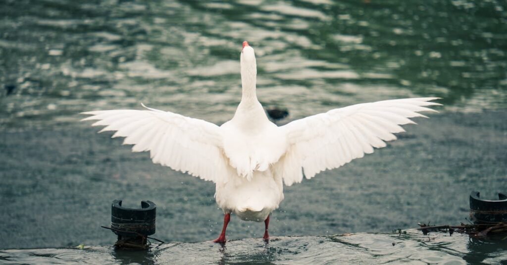 言葉にできない恋心を抱いたまま、そっと相手を見つめる静かな感動シーン。