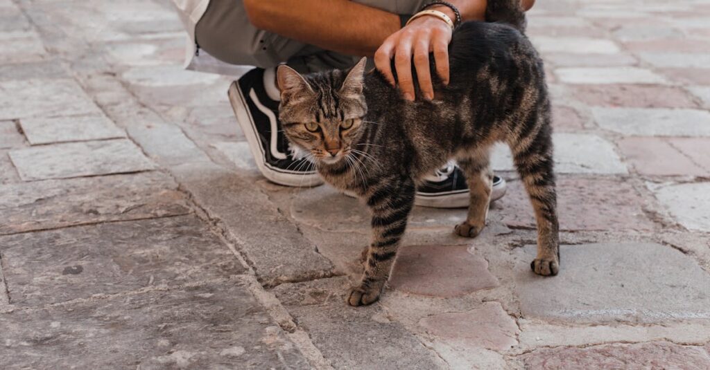 『ブスに花束を。』のキャラクターたちが自然な関係を築く様子、教室での柔らかな交流シーン