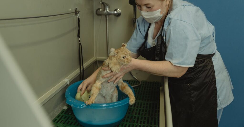 心は惹かれながらも距離を取ってしまうアニメキャラクターたちの魂の鏡的関係を象徴するシーン。