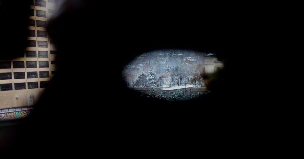 裏庭に出現した扉を通して異世界と現実をつなぐ幻想的な風景