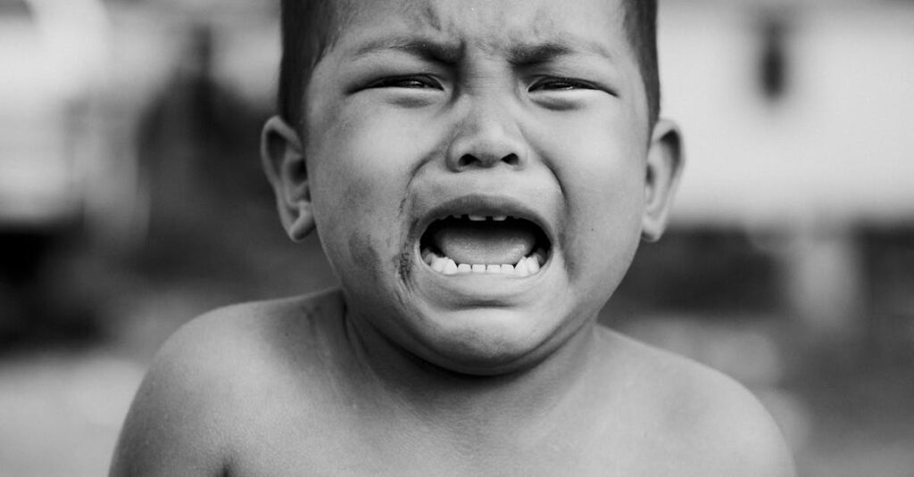 気づいたら涙が流れていた。理由のわからない涙ほど、深いところにある感情が動いた証拠。