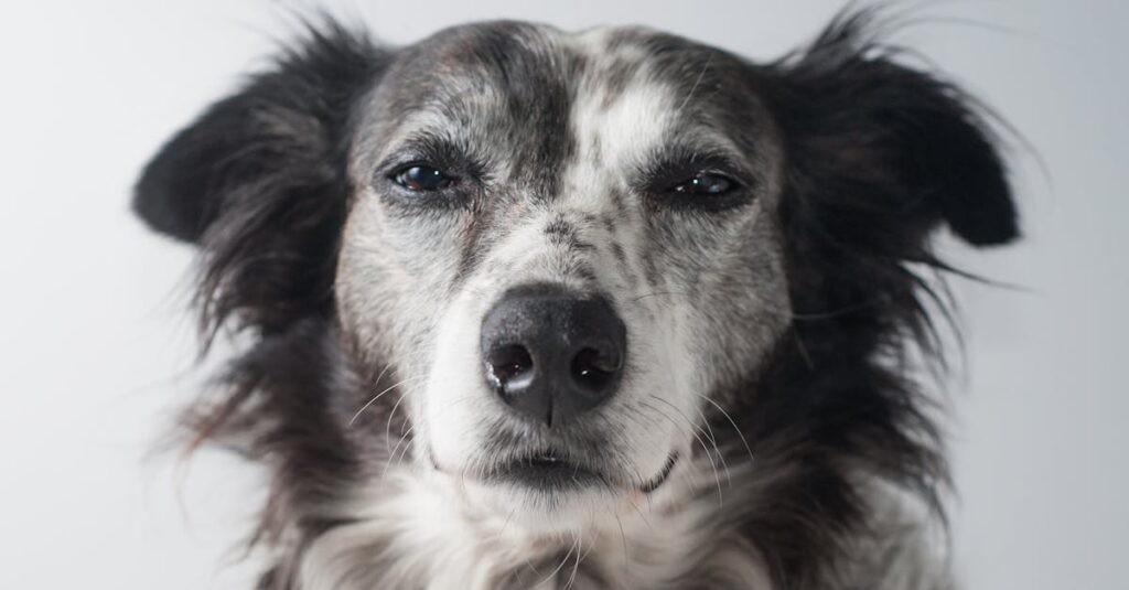 優しい言葉や沈黙の中に感情が込められたキャラクターの表情シーン。