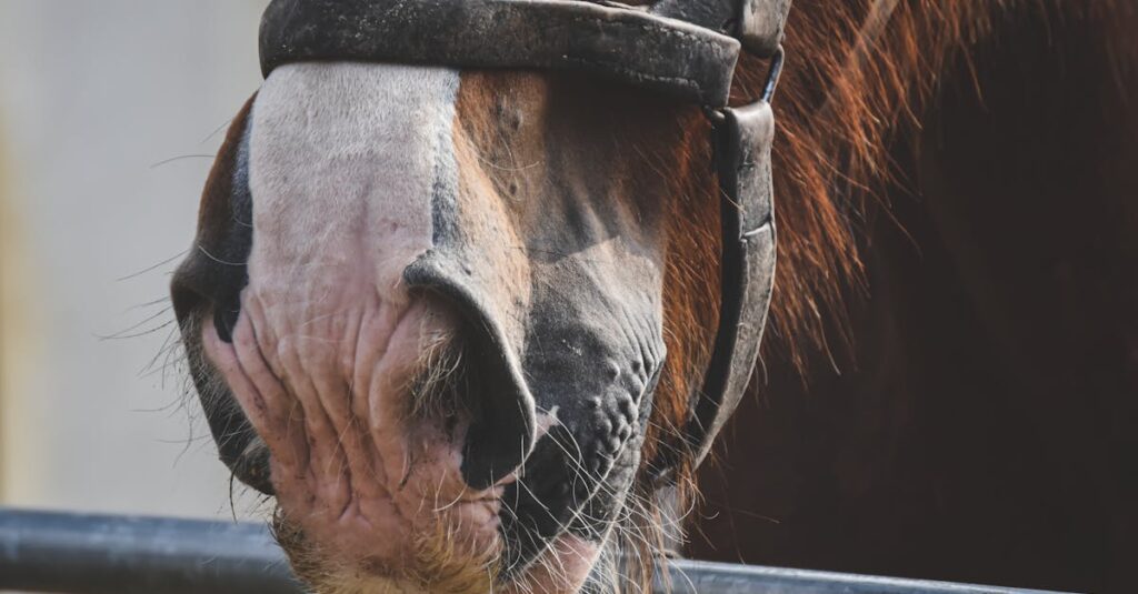 自信を持てない少女が本音を語る瞬間の繊細な表情。心に寄り添う描写が共感を呼ぶ。