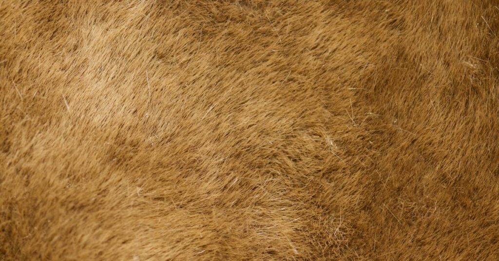 やわらかな色合いと穏やかな日常風景が描かれた癒し系アニメのワンシーン。