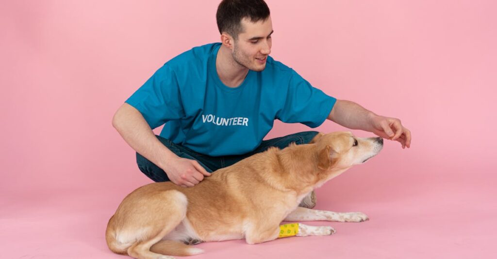 恋か勘違いかわからない優しさに戸惑う主人公の複雑な気持ちを映す場面。