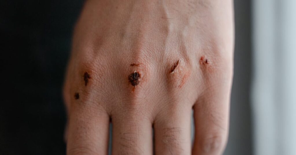 傷を抱えた獣人と令嬢が静かに出会う幻想的なシーン