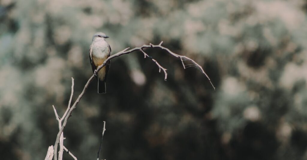 異世界の自然と人間関係に囲まれた、穏やかで心が整う暮らしのワンシーン。