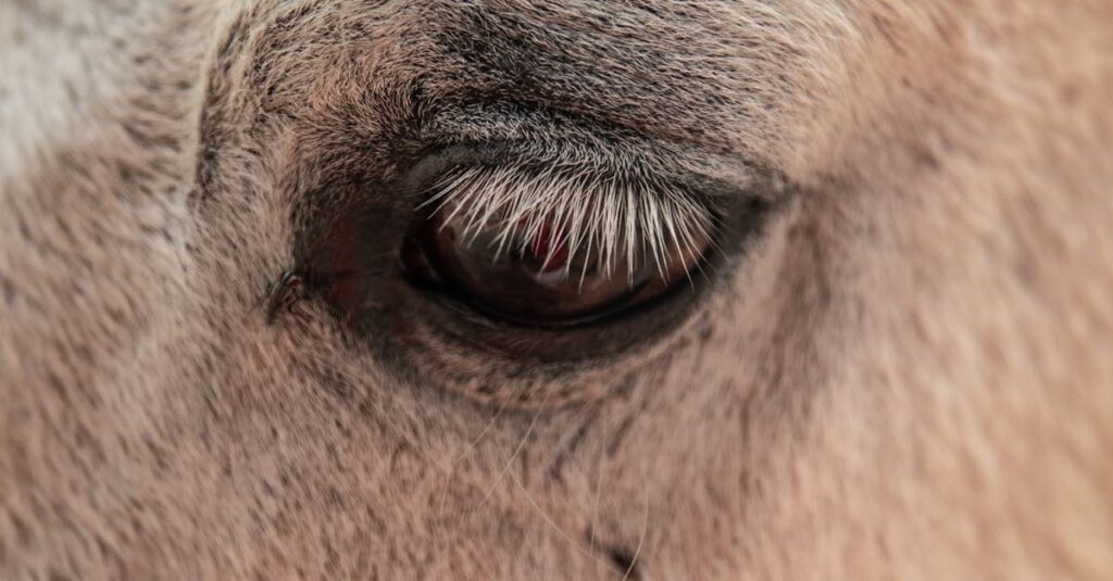 誰かとのやりとりの中で、少しずつ心の温度が戻ってくることがある