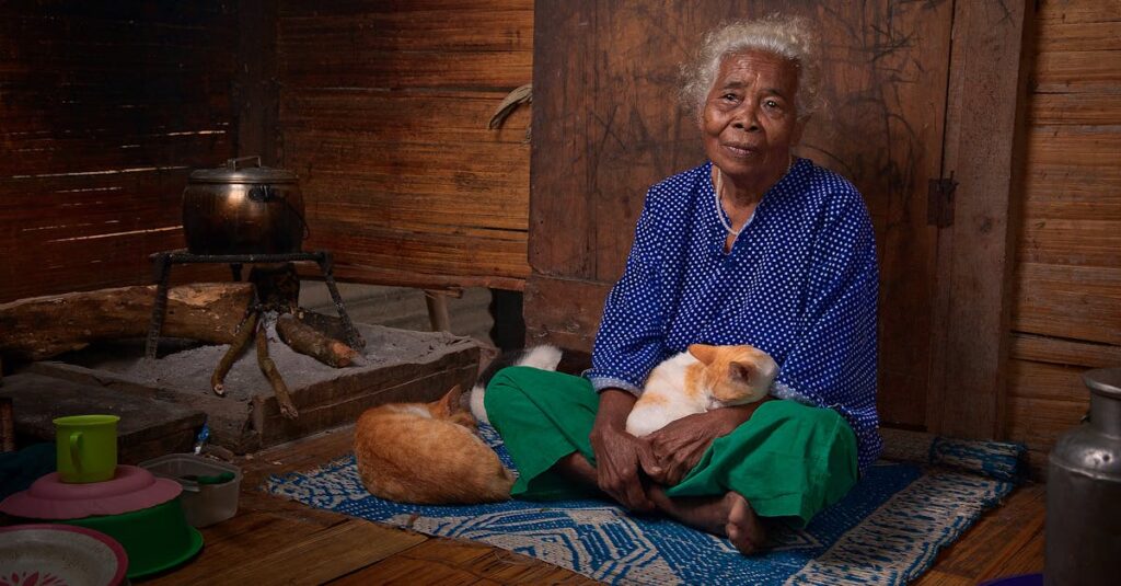 江戸のゆったりとした暮らしのリズムが、アニメ『梟と番様』で心に安らぎを与える。