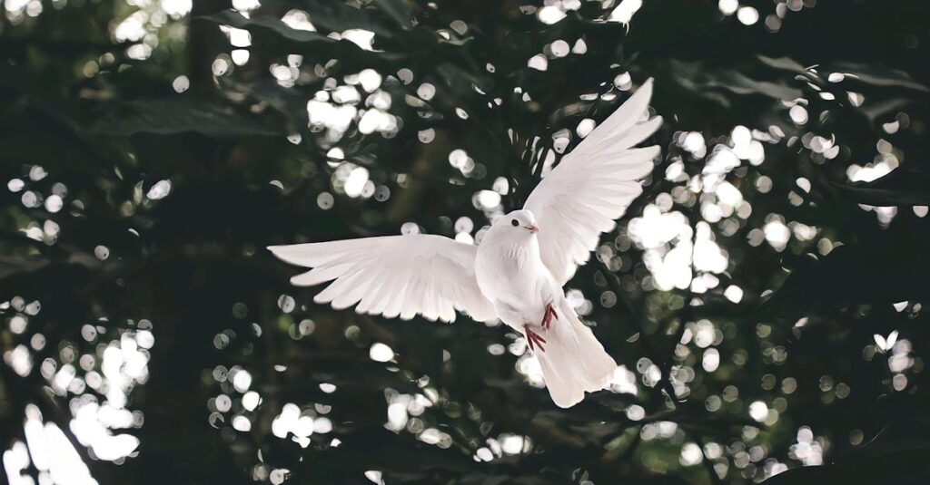 無言で見守る騎士のような少年キャラが仲間を支える場面