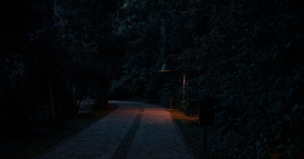 やわらかな光に照らされた道。誰かのためではなく、自分のために歩き出すための静かな一歩。