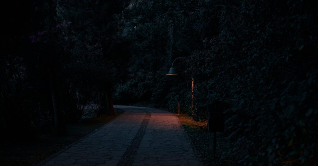 やわらかな光に照らされた道。誰かのためではなく、自分のために歩き出すための静かな一歩。