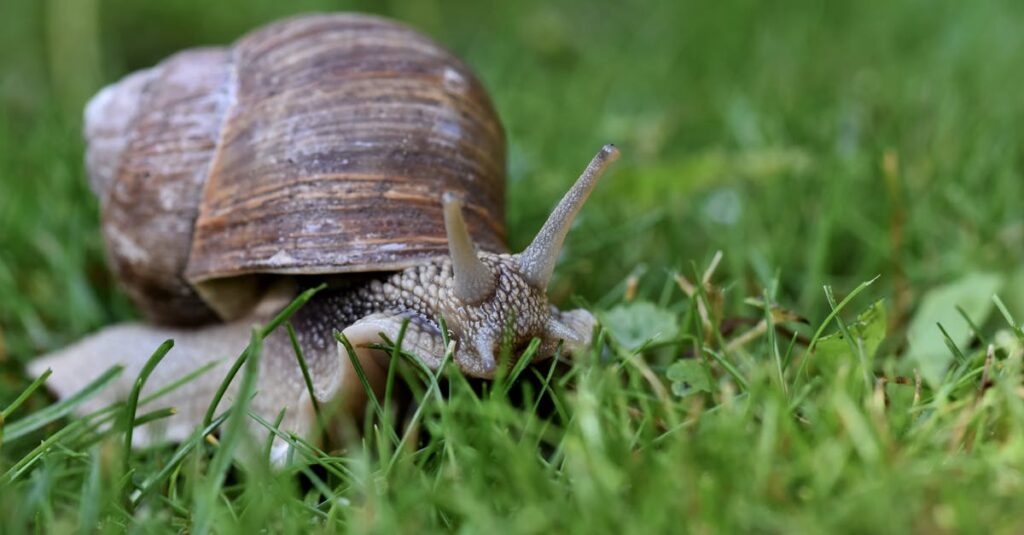 丁寧な所作と会話の間に宿る美しさが、梟と番様の魅力を際立たせる。