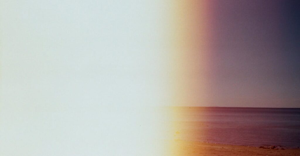 懐かしさと和の情緒が心に染みる『梟と番様』の癒しの世界観。