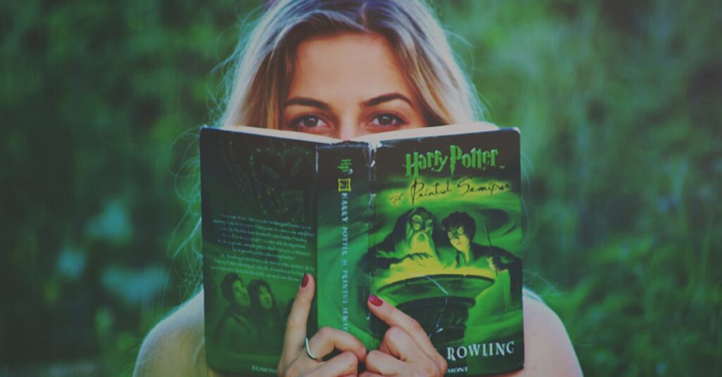 梟と番様の表紙イラストとファンタジー世界のイメージ