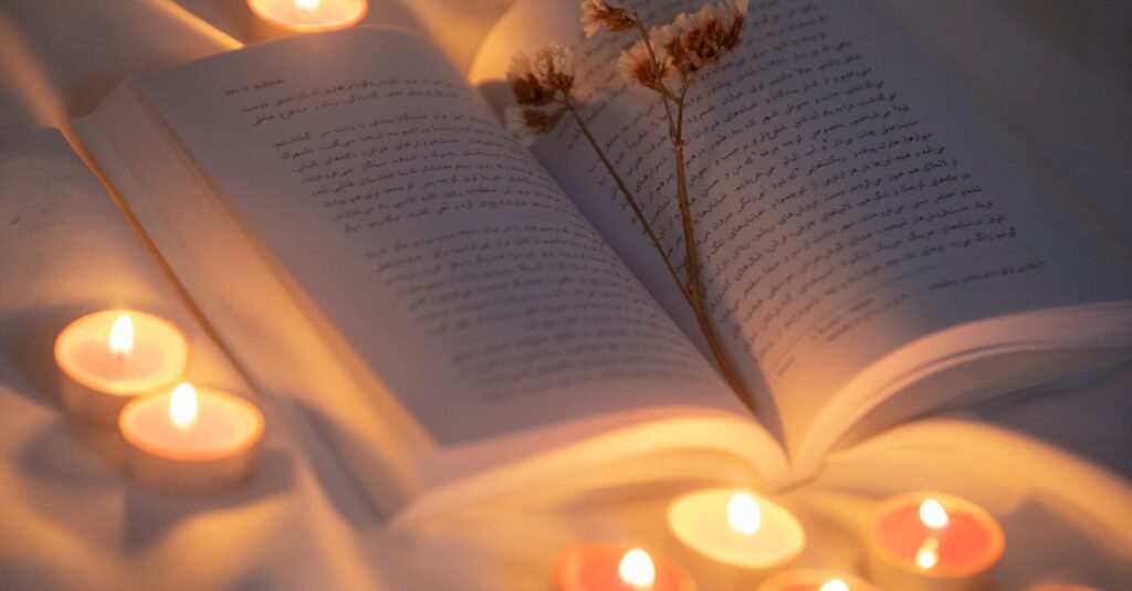 どちらから読むかは正解探しではなく、その日の気分で決めてもいい