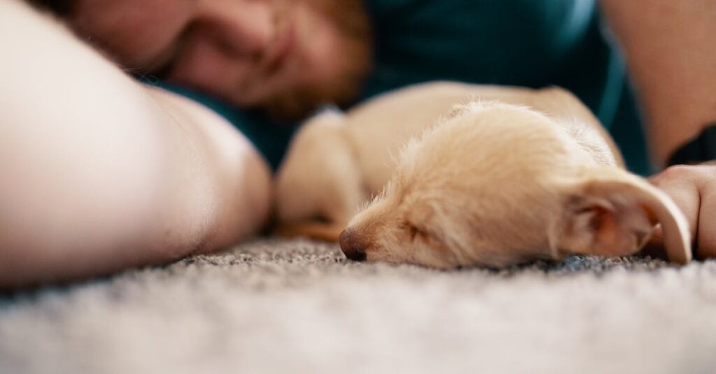 契約で始まった関係が心の絆へと変わる異世界ファンタジーのキャラクターたち。