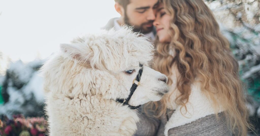 番様と梟の関係は、恋愛を超えた魂の絆として描かれている。