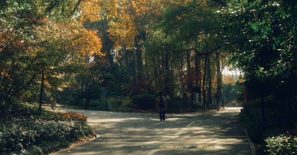 やわらかな光の中で、静かに自分の道を選ぼうとしている女性。自分の人生を選ぶ、その瞬間。